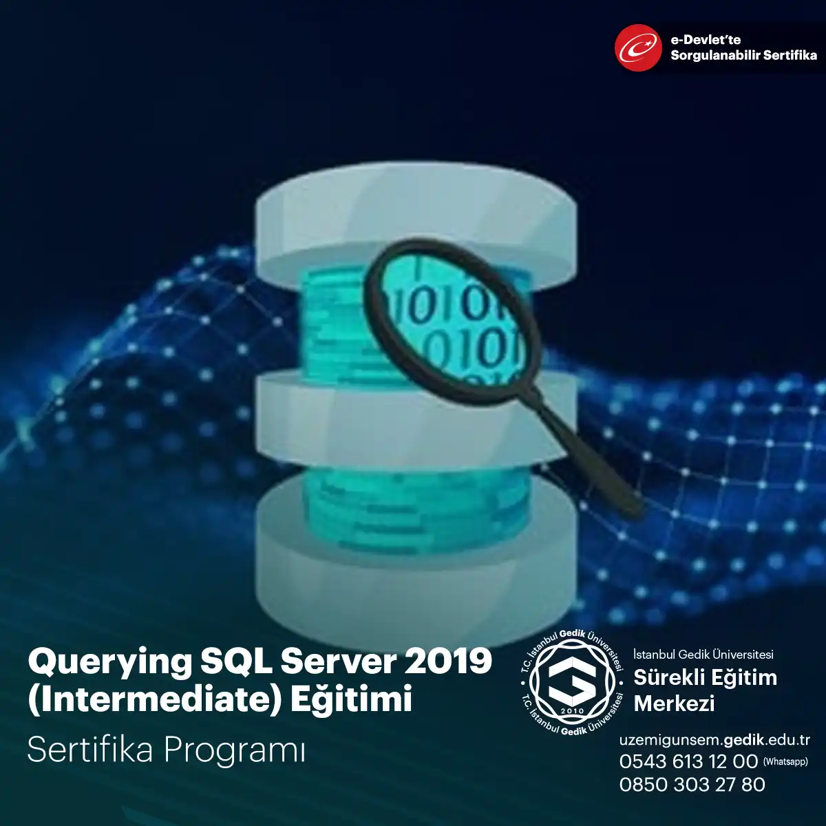 Querying SQL Server 2019 (Intermediate) Eğitimi 